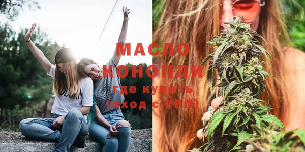 шишки Апатиты