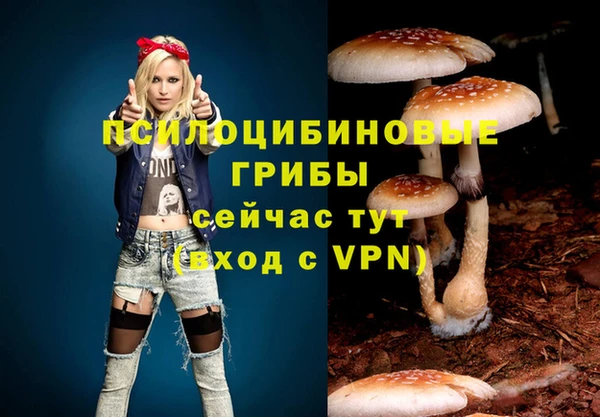 прущая мука Михайловка