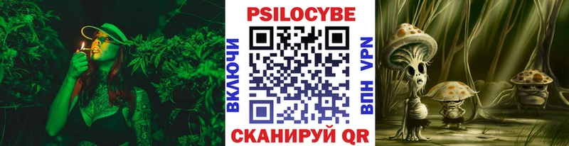 МЕГА ССЫЛКА  Нерехта  Галлюциногенные грибы мицелий 
